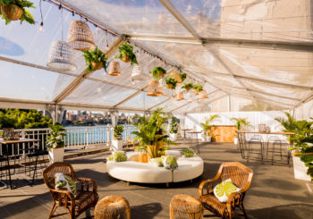 Bridge Cocktail