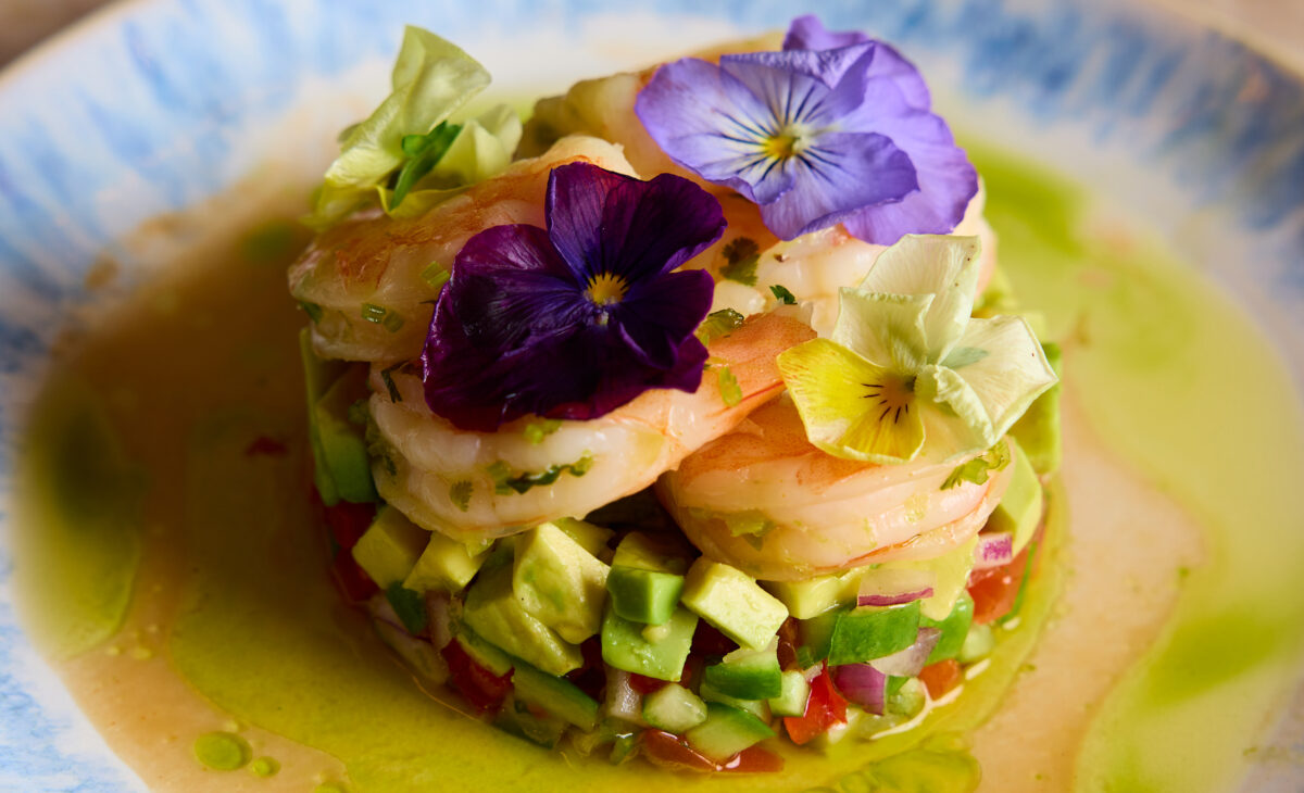 191_PIER ONE-15-01-2026 (1)